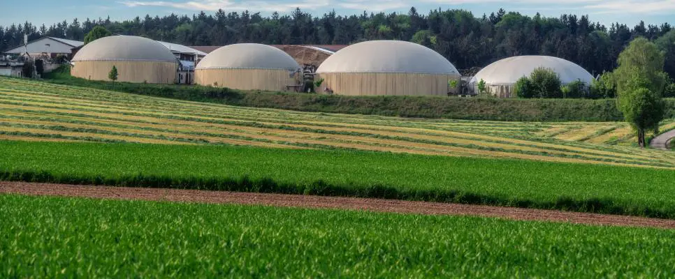 Biomasseenergie: Was sie ist, wie sie gewonnen wird und ihre Verwendung im Energiewandel