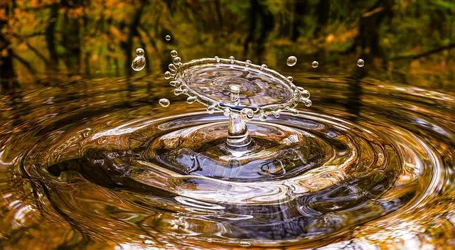 Importance de l'eau
