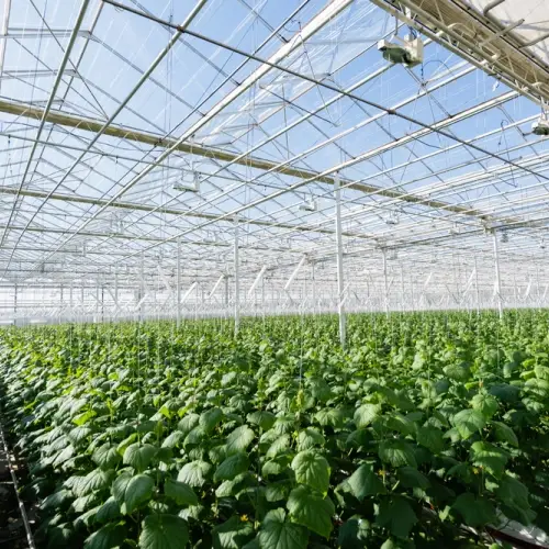 Agricultura